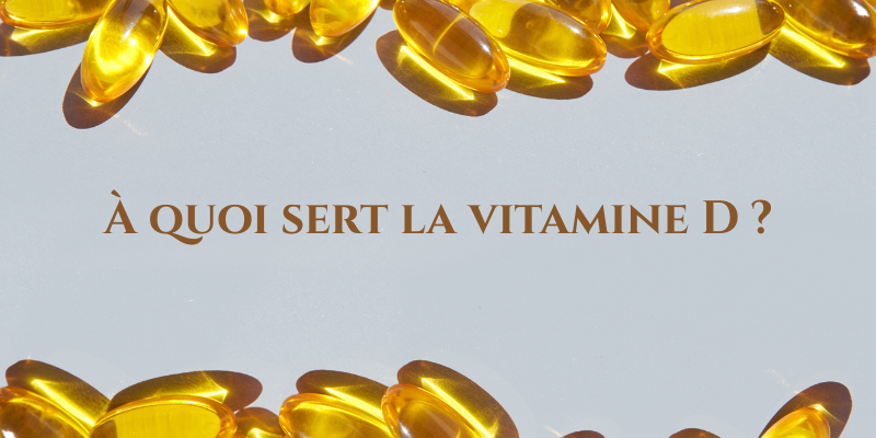 À quoi sert la vitamine D ? Rôle, sources alimentaires et conseils pour maintenir un apport adapté