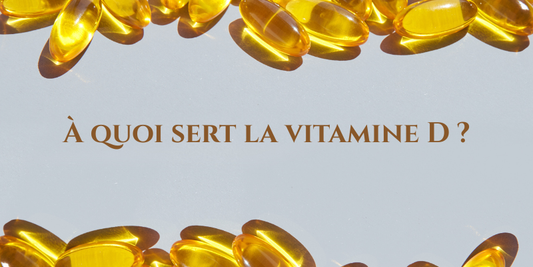 À quoi sert la vitamine D ? Rôle, sources alimentaires et conseils pour maintenir un apport adapté