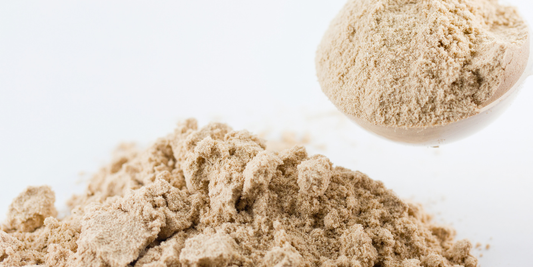 Whey protéine : définition, origine, différences entre whey concentrée, isolate et hydrolysée