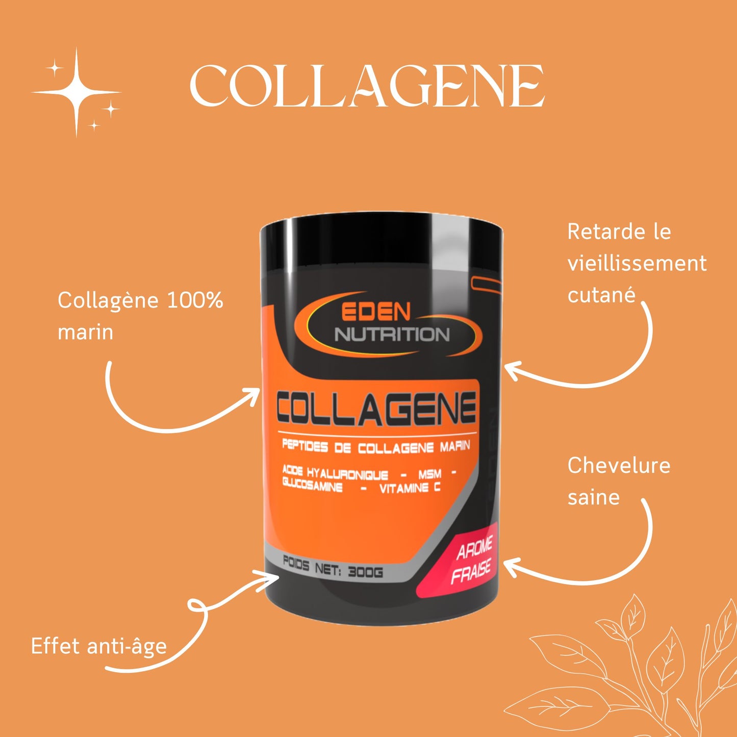 Collagène Marin