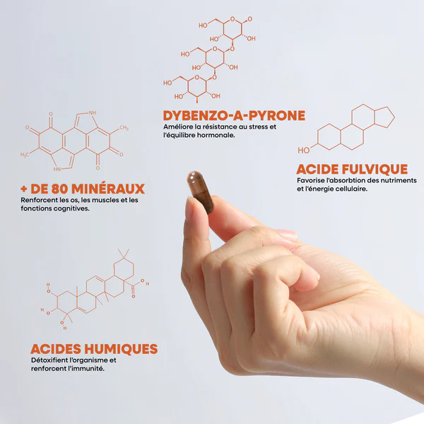 Shilajit Pur en gélules - SIHO