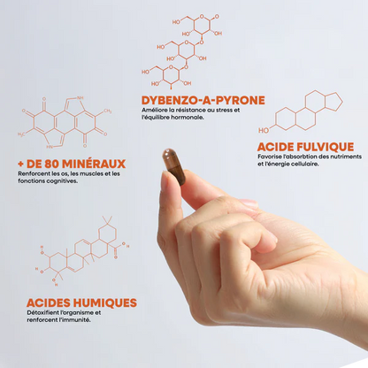 Shilajit Pur en gélules - SIHO