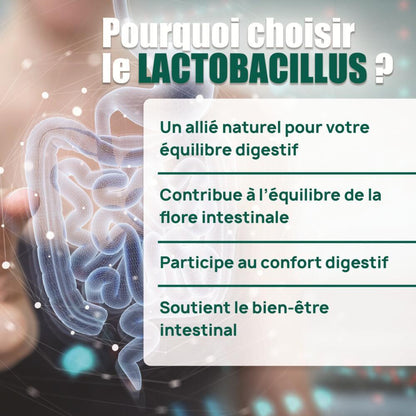 Lactobacillus Gasseri